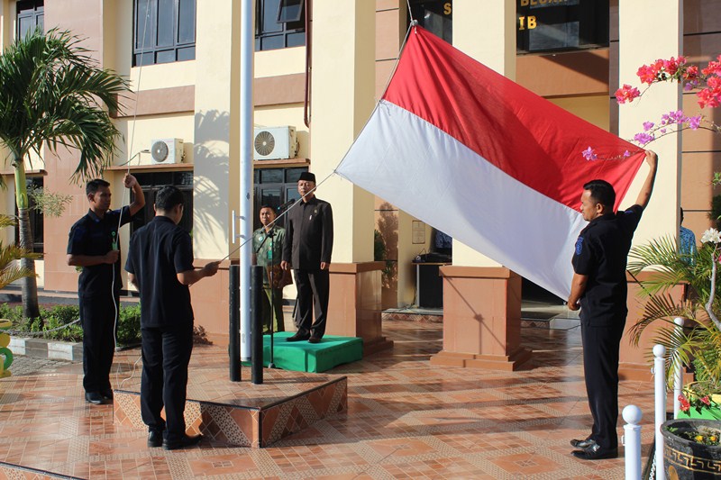 IMG 4523